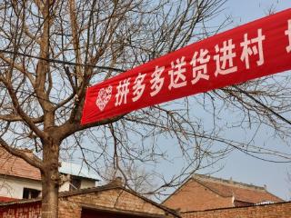 “网上买，村里取”成为现实，拼多多“免费送货入村”模式引人大代表热议