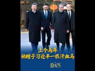 拾光纪·马年再会老朋友，上个马年他赠予习近平一匹汗血马