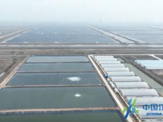 盐城响水：育苗棚里春意浓 “蟹”逅丰收新希望