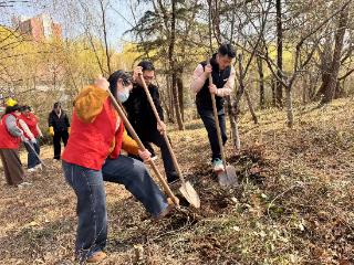 社区里那束最温暖的光——写在第20个“国际社工日”的双龙社区