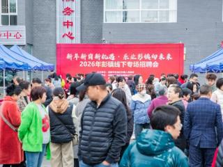 乐业彭镇向未来 创业就业皆可期——彭镇专场招聘会为梦想搭台、为发展赋能