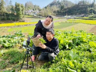 工行遵义凤冈支行：金融“金钥匙”打开田园“云端”门