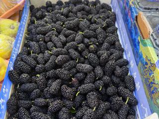 桑葚抢“鲜”上市 合肥本地桑葚还需再等一个多月