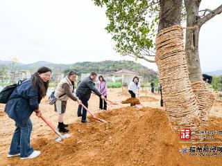 2026年闽台青年植树交流活动在榕举行