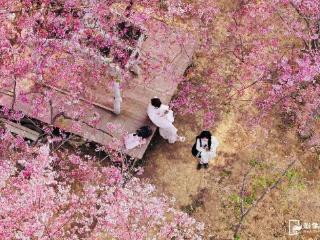 全国第二！福州跻身同程旅行2026春游胜地甄选榜单