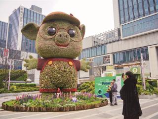 网红小猪上春装