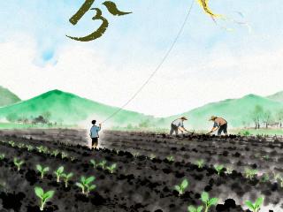 19年一遇！春分逢龙抬头 吉林拔节再向上