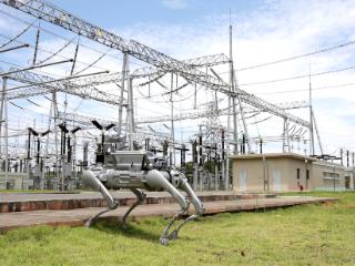 金融活水润科创 齐鲁银行助力区域创新发展