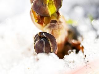 特别海报｜吉林•春信