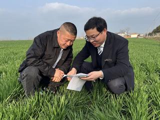 中国银行河南省分行：“贷”动春耕不负时 沃野千里绘“丰”景