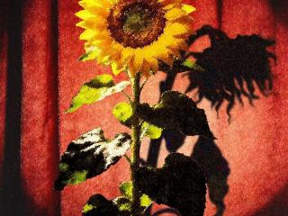 小柯剧场《因为爱情》十四载焕新归来 沉浸式鼻祖再破观演边界