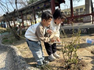 邢台市第一幼儿园：植绿护绿，萌娃与小树共成长
