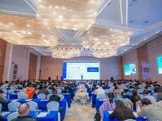 山东省宠物零食信息填报系统正式上线