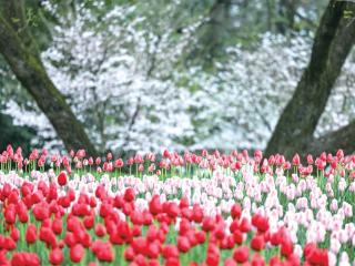 雨水暂歇，暖意融融 明天最高气温22℃