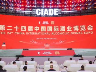 青酌奖十连冠！仰韶在中国国际酒博会以品质对话世界