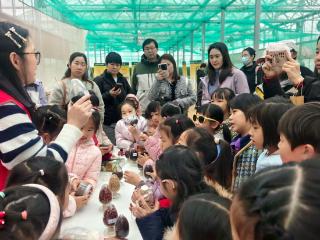 油菜花田里的“行走课堂” 小学生探秘“一滴油”的旅程