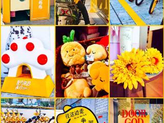 市民赏春光 增添新玩法