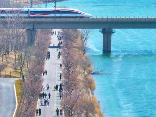 踏青赏花滹沱河
