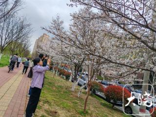 安徽：阴雨难挡回暖 游春踏青正当时