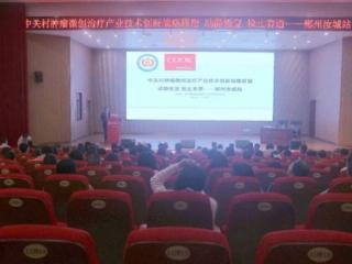 湖南省汝城县中医医院：“半条被子”映初心 “一根导丝”通血脉