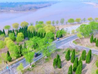 【春满槐荫·黄河长堤画卷①】飞阅黄河大坝，邂逅“生态廊道”的春日序章