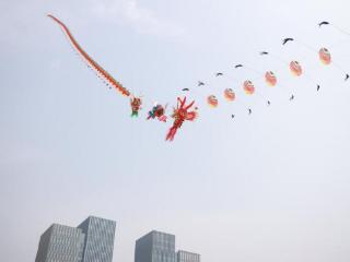 “二月二、龙抬头”江苏省风筝放飞活动圆满举行