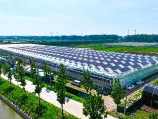 7个产业融合项目领跑 海州农业农村重点项目提速攻坚