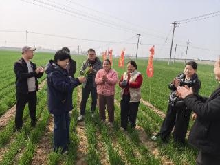 小麦返青春管忙 麦大师农技下乡送良方