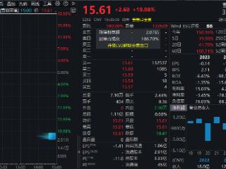 平均每升少涨8毛5！爱玛科技、新日股份，双双涨停