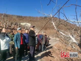 卢龙县开展核桃优质丰产栽培技术培训