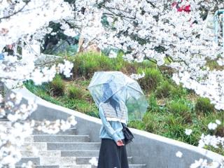 杭州雨水不断“加码” 今天上午有小到中阵雨