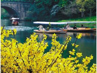 春花烂漫湖西岸