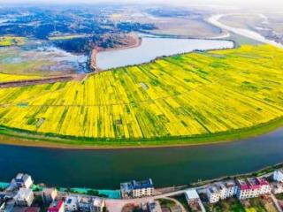 余干解锁“春日经济”新玩法