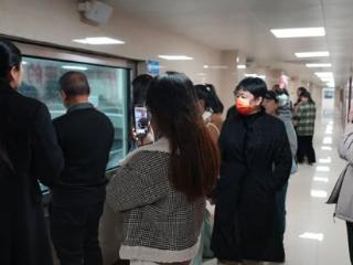 龙抬头探秘双汇“透明工厂”：传统民俗与现代工业的别样邂逅