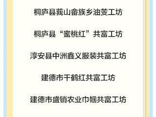 新一批省级共富工坊，杭州16家入选！