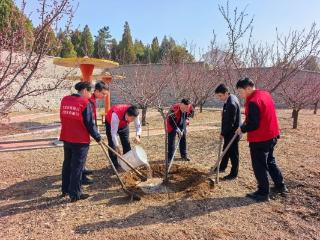 莱芜农商银行钢城区支行：共植一片绿 共建美丽家园