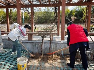 莱芜农商银行城西支行：党建引领添新绿 银企携手育新苗