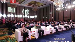 解码“新汤沟”现象:一场关于“热爱”的酒业变革正在发生