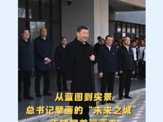 视频丨擘画未来之城 总书记心系雄安发展