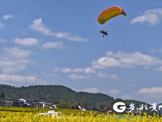 汇川区团泽镇：花海经济“飞”向云端