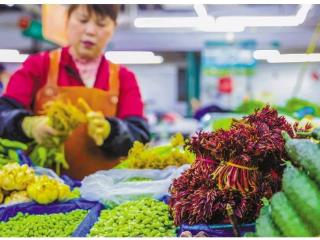 春菜“卷”出花 价格“亲民”品种多样