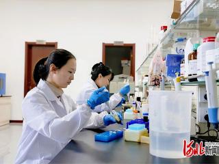 加强与雄安新区创新联动 唐山加快推进中试基地建设