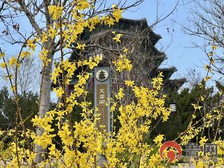 【鲁网图集】环湖皆春景 一眼醉文昌