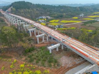 中铁七局襄宜高速项目罗家畈大桥左幅T梁顺利架设完成
