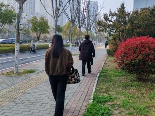 六小时内气温涨15℃！合肥街头现“早穿棉袄午穿纱”景象