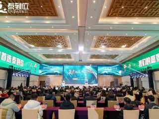 科技驱动+合规运营：泰到位高效链接供需，重塑行业生态