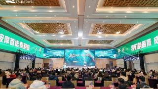 科技驱动+合规运营：泰到位高效链接供需，重塑行业生态