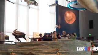 “热门课程”拼手速 老年教育成服务消费新风口