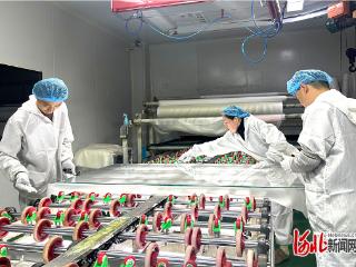 廊坊构建雄安新区产业配套坚实支撑