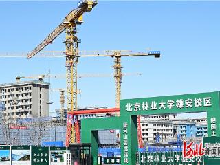 大学城疏解配套项目建设加速推进